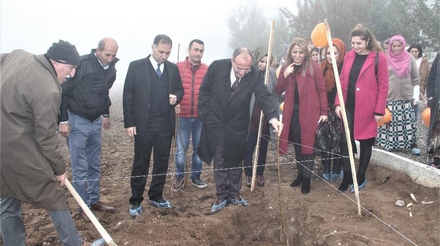 Elazığ&rsquo;da kadınlar ve engelliler fidan dikti