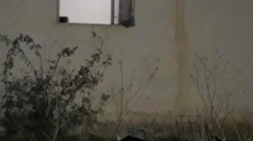 Elazığ’da 4 hırsızlık şüphelisi yakalandı