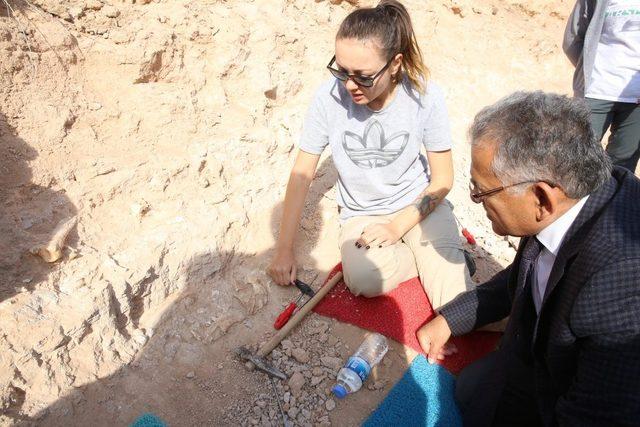 Ağırnas bölgesinde arkeolojik kazı çalışması başladı