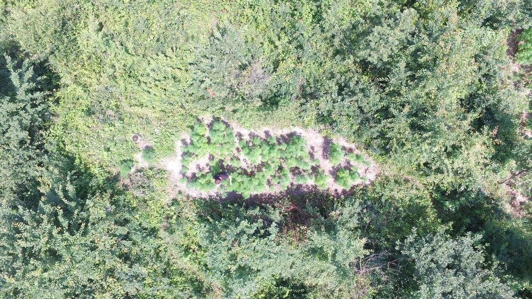 Jandarma hepsini drone ile avlıyor