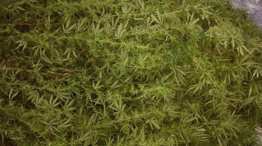 Biga&rsquo;da uyuşturucu ve ka&ccedil;ak i&ccedil;ki operasyon