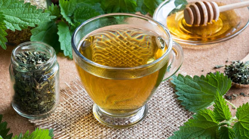 Isırgan otunun faydaları nelerdir? Isırgan otu neye iyi gelir? 