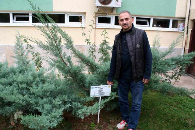 Erdemli de ağa&ccedil;lara kimlik kartı &ccedil;ıkartıldı 2