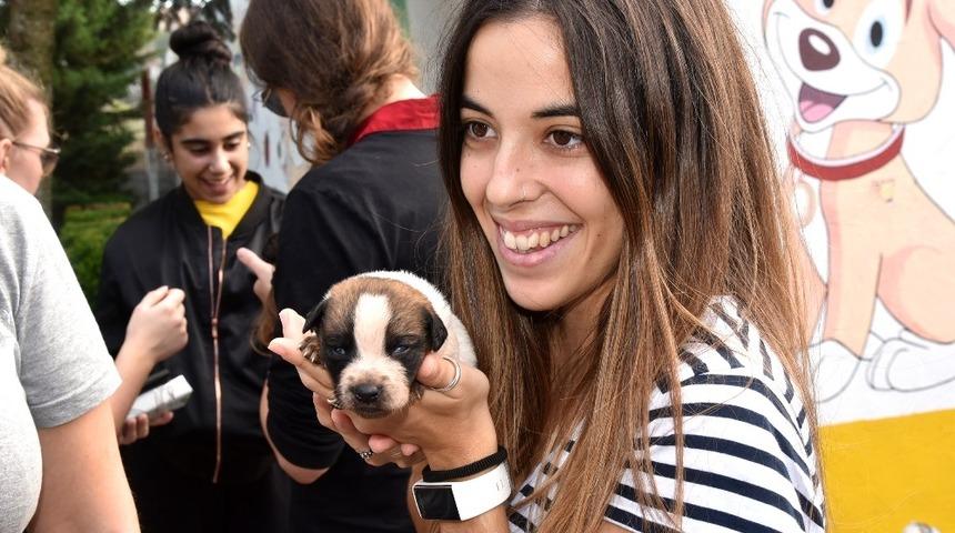 &Ccedil;orlu Belediyesi bir yılda y&uuml;zlerce hayvanı tedavi etti
