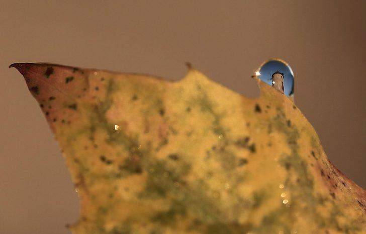 Damlalarda Ankara  G2