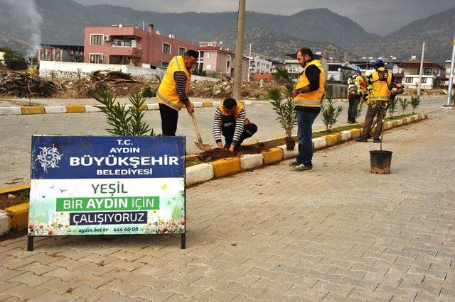 Büyükşehirden ağaçlandırma seferberliği