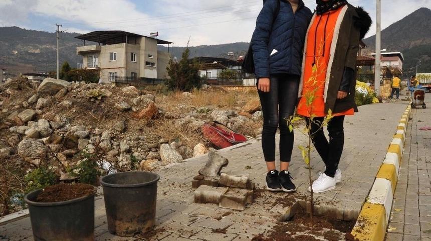 B&uuml;y&uuml;kşehirden ağa&ccedil;landırma seferberliği