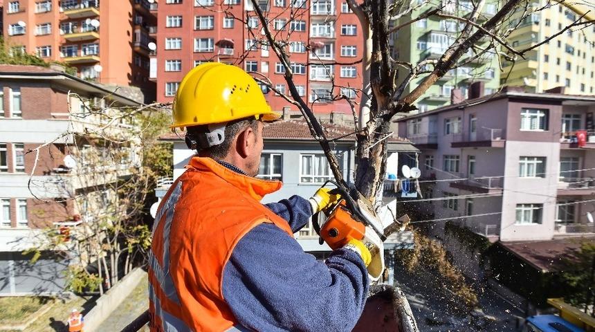 Ankara&rsquo;da g&ouml;r&uuml;ş&uuml; engelleyen ve tehlike oluşturan ağa&ccedil;lar budanıyor