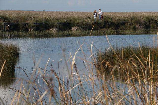 Kızılırmak deltası kuş cennetine girişlere sınırlama