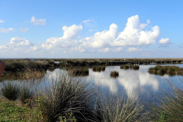 Kızılırmak deltası kuş cennetine girişlere sınırlama