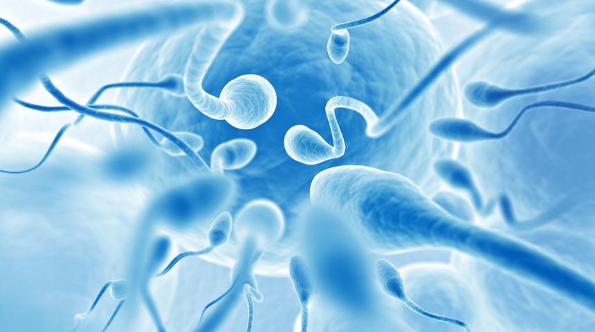 Gebe kalamamanızın sebebi bu olabilir! Sperm genetiği, en az kadın yumurtası kadar önemli 