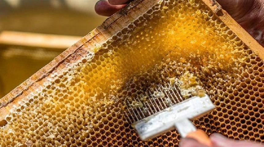 G&uuml;nde bir kaşık Anzer balı yediğinizde v&uuml;cudunuzda bakın ne oluyor!