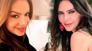 Sevda Demirel'den Hande Ataizi'ye zeytin dalı