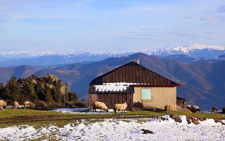 'Hıdırnebi' Uzungöl'e alternatif olacak  G1