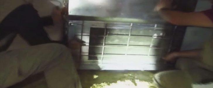 Samanların arasından servet çıktı! G1