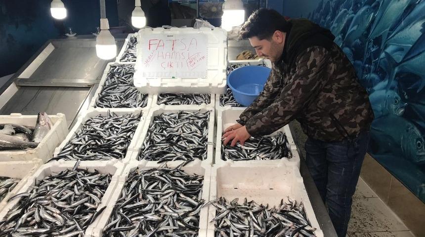 Fatsa&rsquo;da yerli hamsi 10 TL