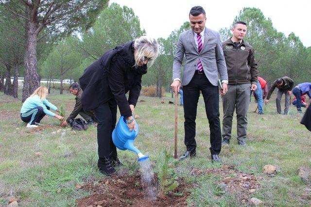 Marmaris’te şehit öğretmenler için fidan dikildi