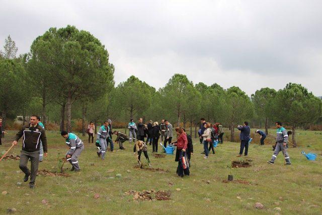 Marmaris’te şehit öğretmenler için fidan dikildi