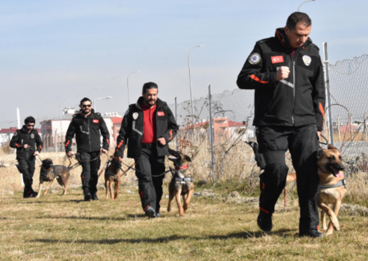 Rekor kırdılar! Emekli olunca da ayrılmıyorlar  G1