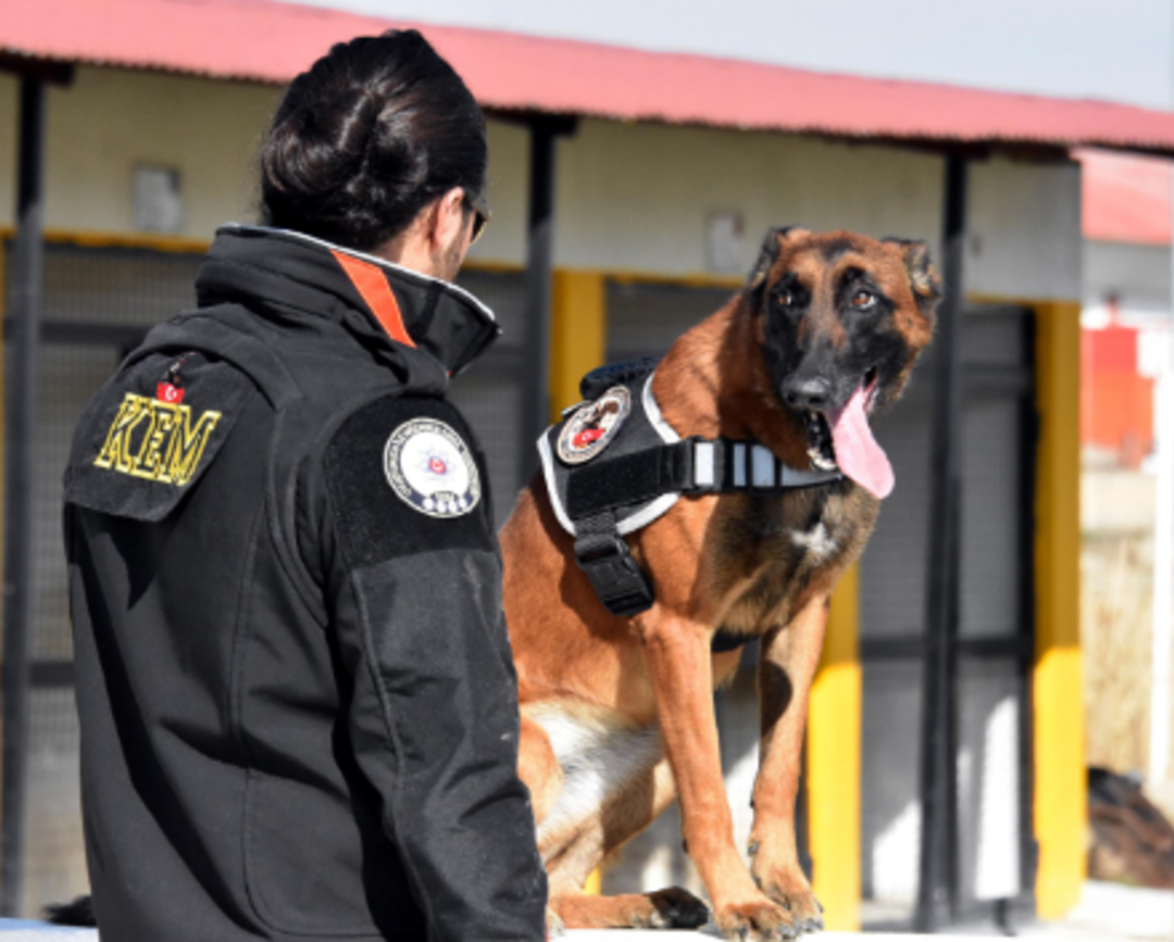 Rekor kırdılar! Emekli olunca da ayrılmıyorlar 