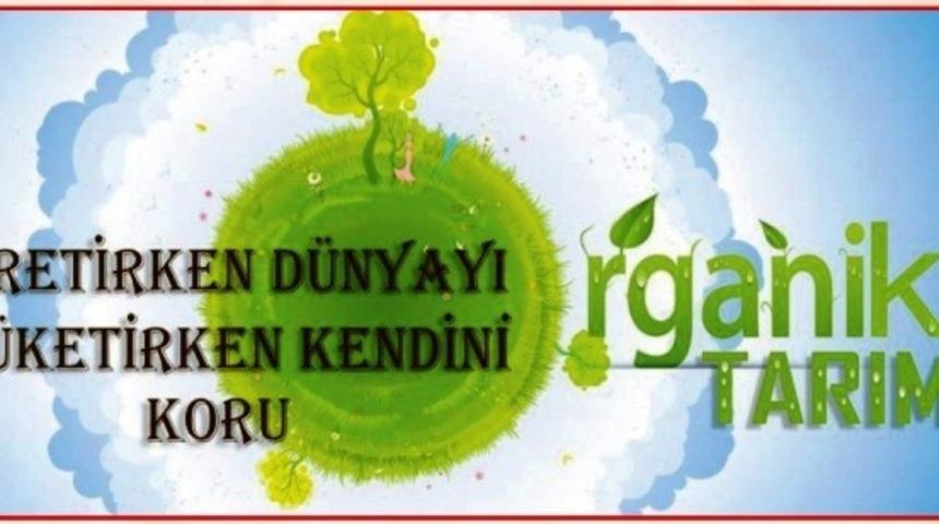 Aydın&rsquo;lı &ccedil;ift&ccedil;ilere 50 milyonluk &ouml;deme