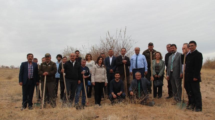 Sağlık M&uuml;d&uuml;rl&uuml;ğ&uuml; personeli KOAH&rsquo;a dikkat &ccedil;ekmek i&ccedil;in ağa&ccedil; dikti
