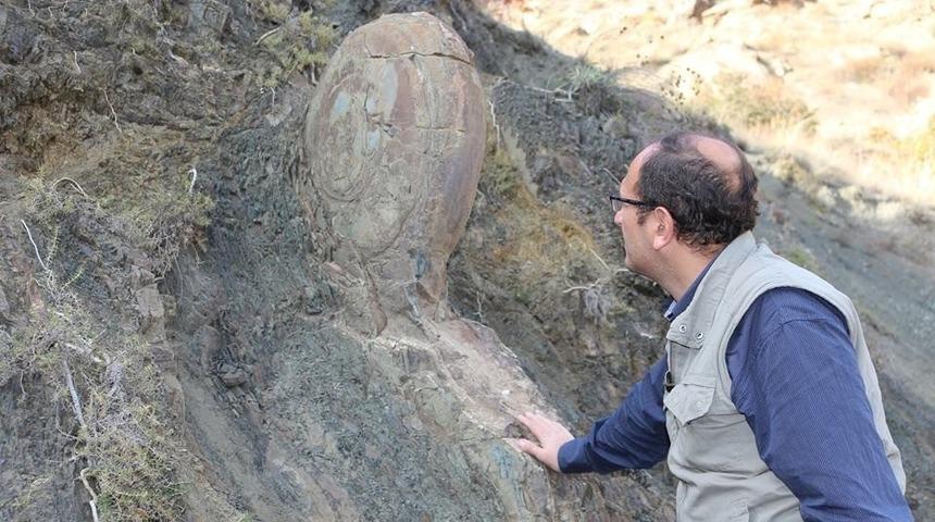 Kaya Salyangoz m&uuml;zeye taşınamadı