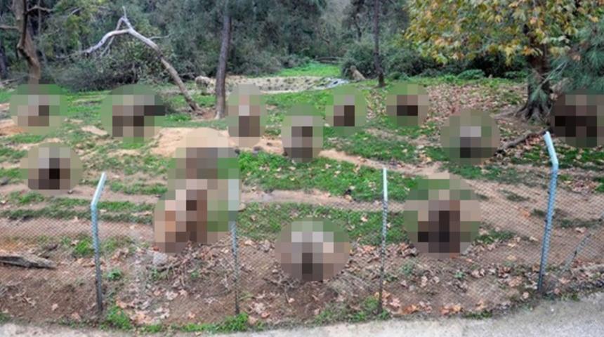 Herkesin g&ouml;z&uuml; onlarda! Ge&ccedil;en yıl unutulmuşlardı, ne yapacakları merak konusu