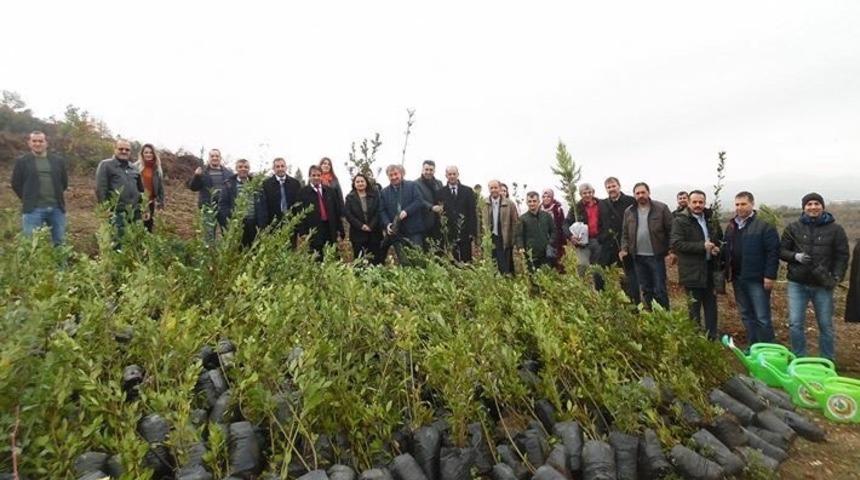 &Ouml;ğretmenlerde doğaya 150 bin fidan