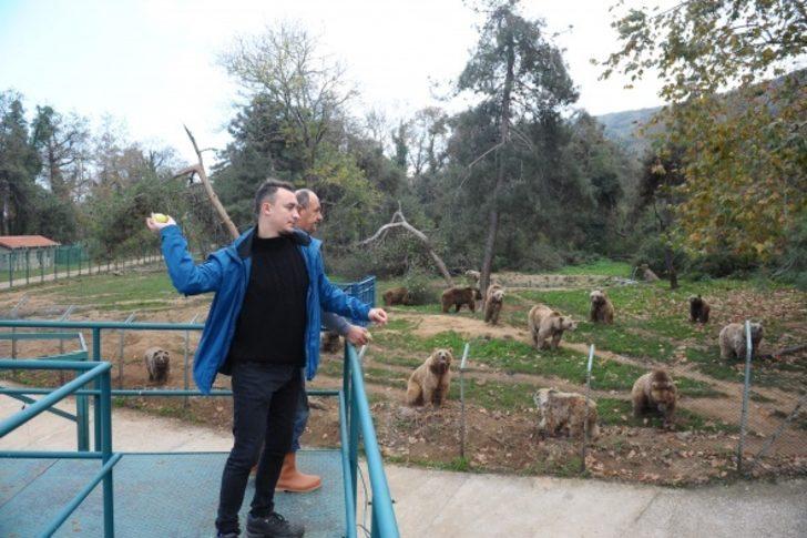 Bu kış uyumayı unuttular G2