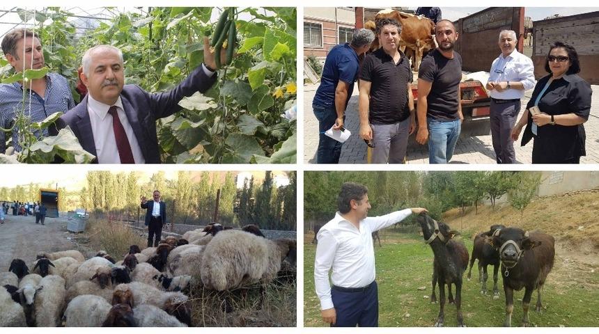 Van&rsquo;da 251 gen&ccedil; &ccedil;ift&ccedil;iye 7 milyon 530 TL&rsquo;lik hibe desteği verildi