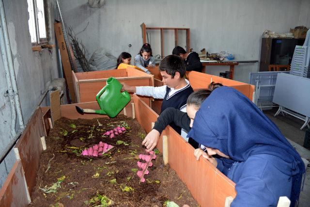 Lise öğrencileri okulda solucan gübresi üretiyor