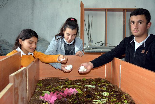 Lise öğrencileri okulda solucan gübresi üretiyor