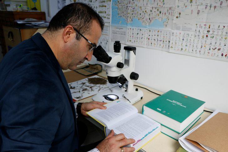 İzmir'de yeni bir çiçek türü keşfedildi! G4