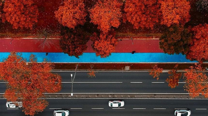 Ordu sahilinde &lsquo;sonbahar&rsquo; g&uuml;zelliği