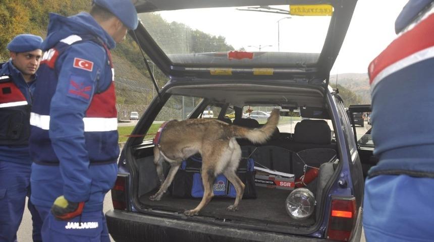 Sinop&rsquo;ta ara&ccedil;lar didik didik arandı