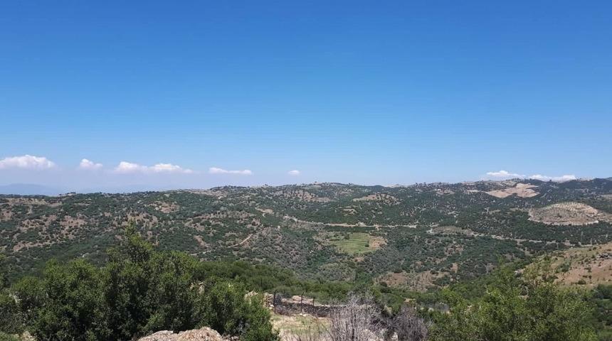 Milyonluk araziyi satışa &ccedil;ıkardı, mahalleli ateş p&uuml;sk&uuml;rd&uuml;