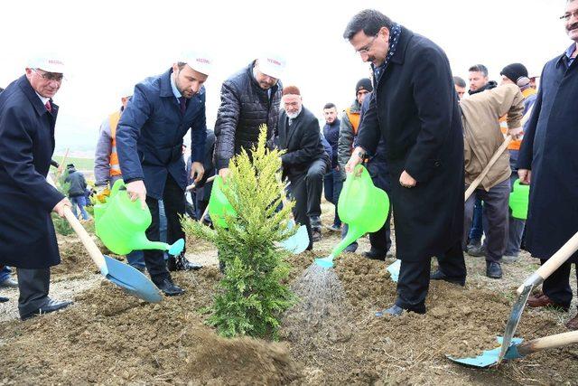 5 bin fidan toprakla buluşturuldu