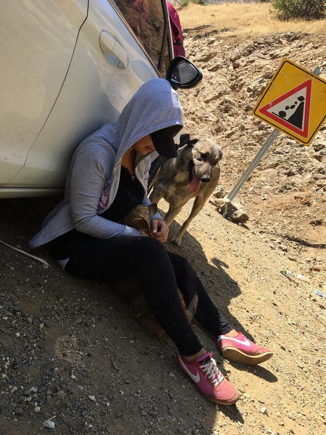 Eda öğretmen, Şemdinlili çocuklar ve sokak köpekleri için çabalıyor