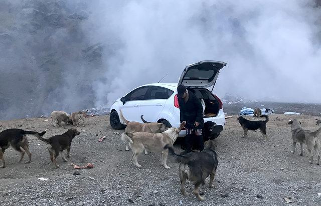 Eda öğretmen, Şemdinlili çocuklar ve sokak köpekleri için çabalıyor