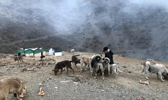 Eda öğretmen, Şemdinlili çocuklar ve sokak köpekleri için çabalıyor