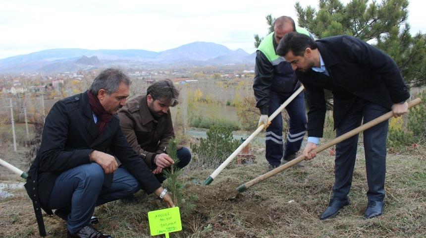 &Ouml;ğretmenler G&uuml;n&uuml; dolayısıyla 1453 fidan toprakla buluştu.