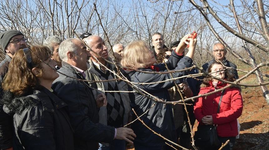 Tepebaşı Belediyesi&rsquo;nden budama eğitimi başlıyor