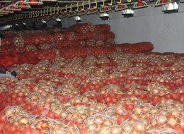 Soğan fiyatları ucuzladı 