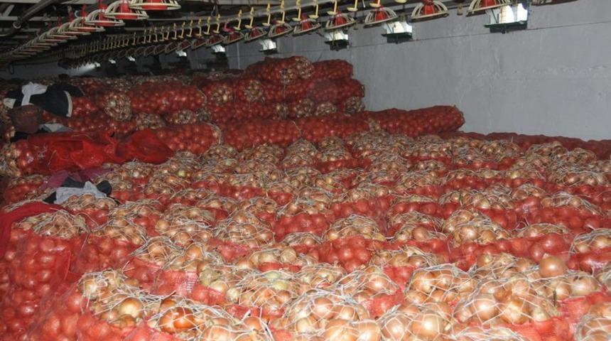Soğan fiyatları ucuzladı 