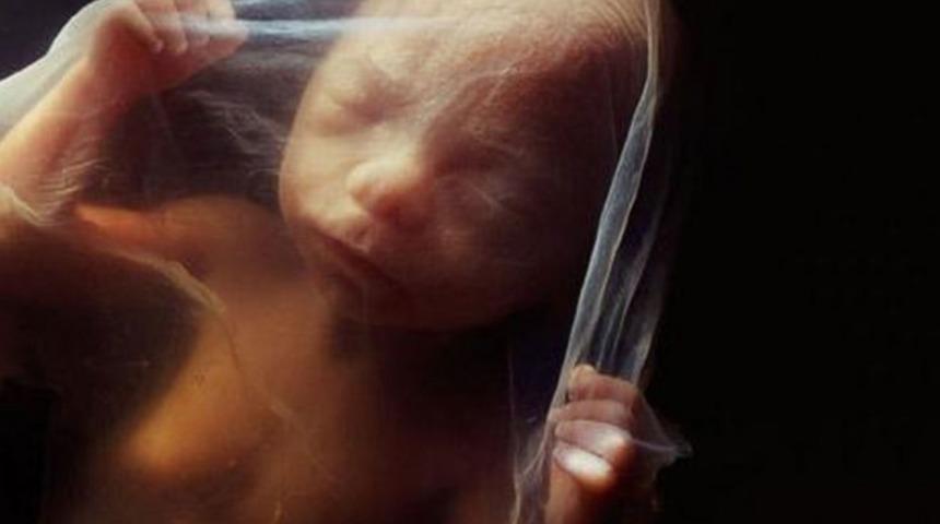 İlk G&uuml;n&uuml;nden Doğumuna Kadar Bir Bebeğin Gelişimi