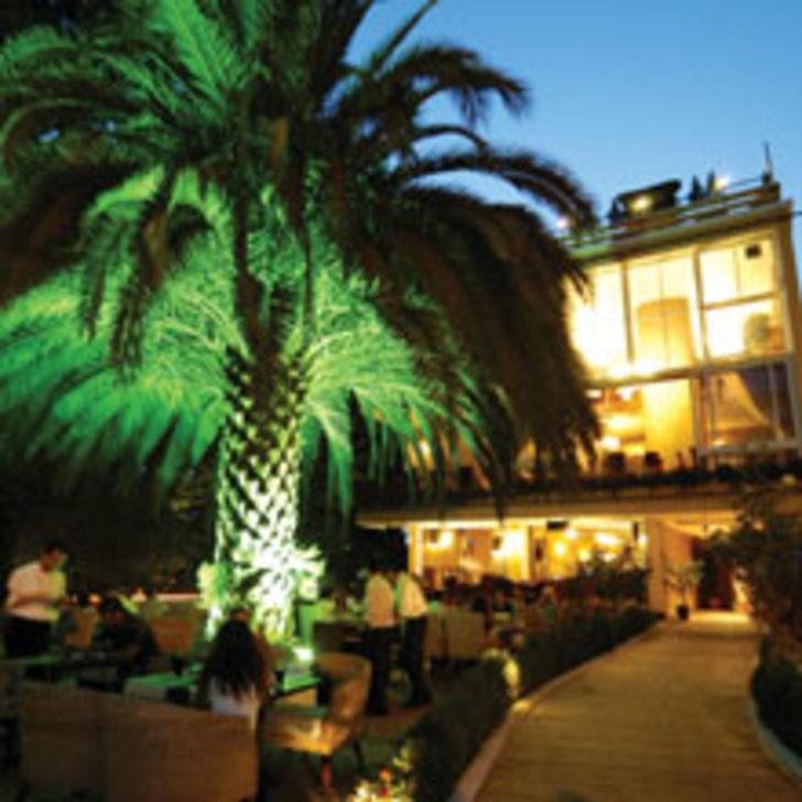 Palma d&rsquo;Oro'da Sınırsız Eğlence