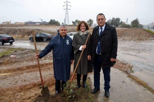 Aliağa’da bin zeytin fidanı toprakla buluştu