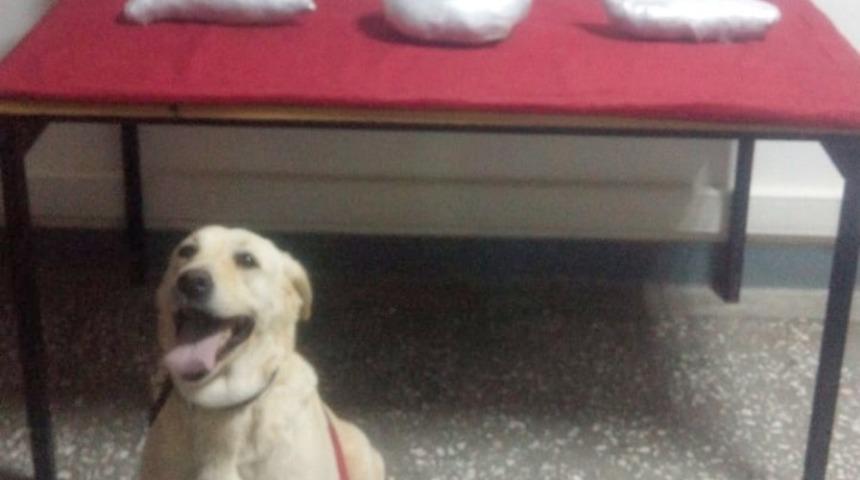 Jandarma uyuşturucu madde ele ge&ccedil;irdi