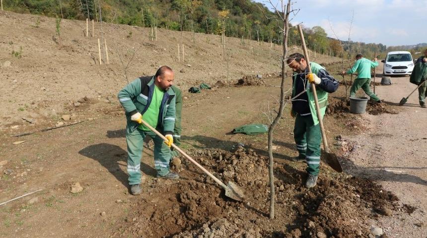 Umuttepe Kamp&uuml;s&uuml; yeşilleniyor
